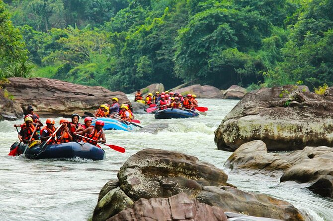 Adventure Experience A in Kitulgala - Who should book this Kitulgala outing?