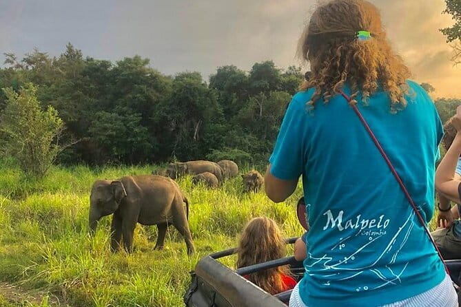 Adventure safari Experience in Hurulu Eco Park, Sri Lanka - Key points at a glance