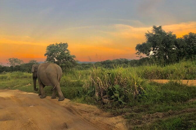 Adventure safari Experience in Hurulu Eco Park, Sri Lanka - What the 3-hour Hurulu route is like
