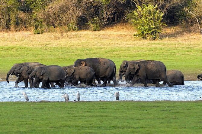 Adventure safari Experience in Hurulu Eco Park, Sri Lanka - Booking advice and cancellation details