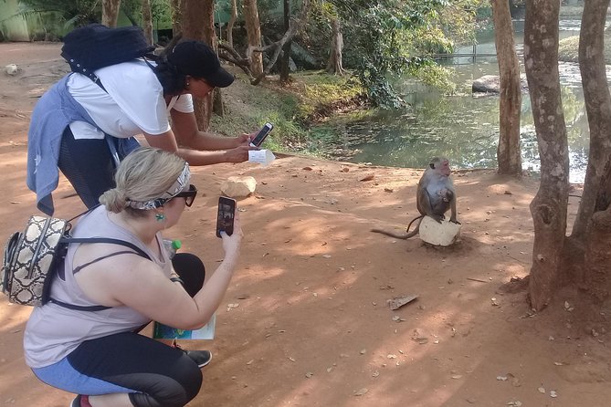 Adventure trincomalee to sigiriya and wild safari ,village tour - A private guide can make the long day easier