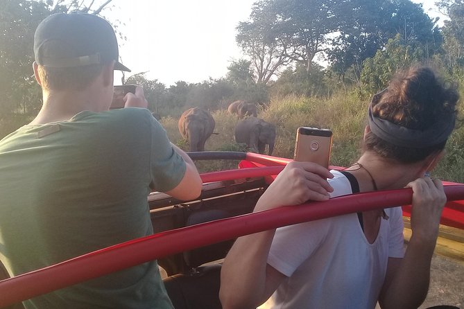 Adventure trincomalee to sigiriya and wild safari ,village tour - Who should book this experience?