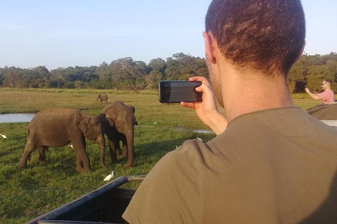 Adventure trincomalee to sigiriya and wild safari ,village tour - Booking details worth checking