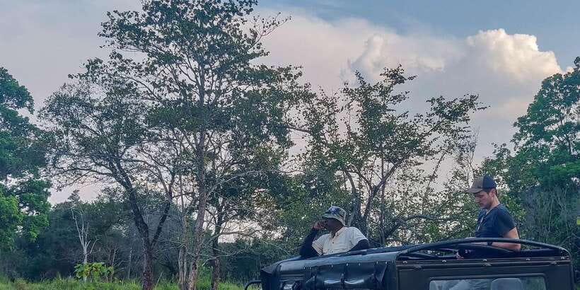 Ahangama: Udawalawe National Park Safari with Hotel Pickup - Why Udawalawe works as a south-coast safari