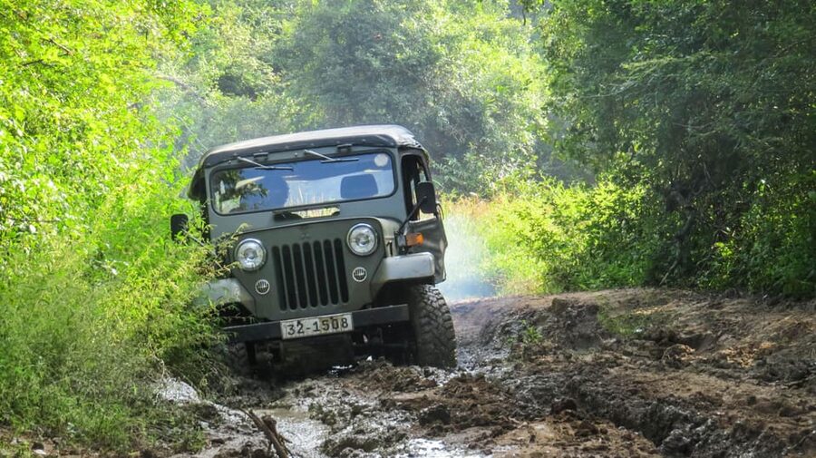 Ahangama: Udawalawe National Park Safari with Hotel Pickup - Should you book this Ahangama safari?