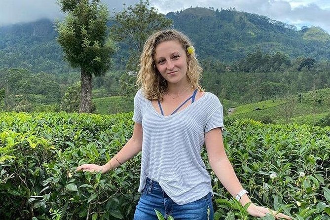 Air port Pick up and Drop to Kandy - Safety, comfort, and the value of going private