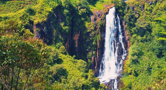 All in one Sri lanka 7nights 8 days for couple price - What the guides add to the experience