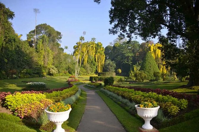 All Inclusive Kandy Private Day Tour From Colombo and Negombo - Tea country at Damro Labookellie