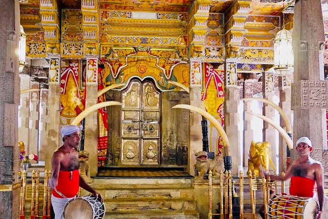 All Inclusive Kandy Private Day Tour From Colombo and Negombo - Udawatta Kele adds forest inside the city