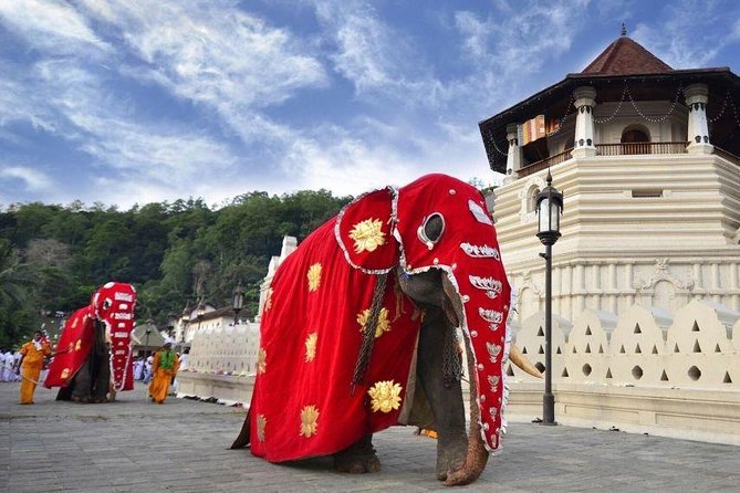 All Inclusive Kandy Private Day Tour From Colombo and Negombo - Two views of Kandy, from statue and lookout