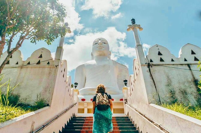 All Inclusive Kandy Private Day Tour From Colombo and Negombo - Spice garden, wood carvings, and city shopping