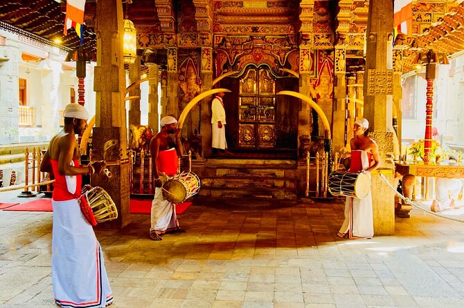 All Inclusive Kandy Private Day Tour From Colombo and Negombo - Peradeniya gives you a full hour among plants