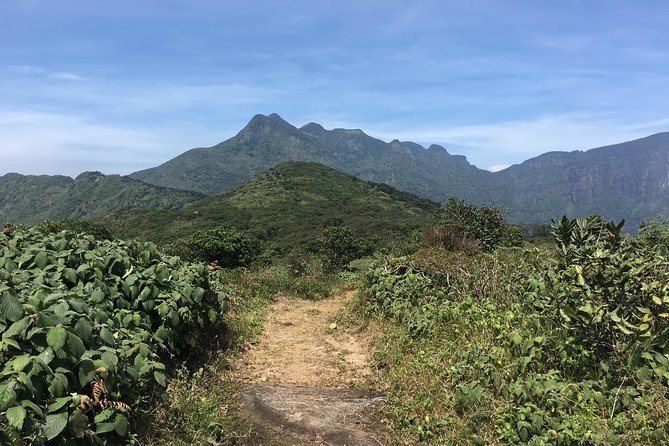 All Inclusive Knuckles Day Track With Accommodation - Why the Knuckles summit is worth your time