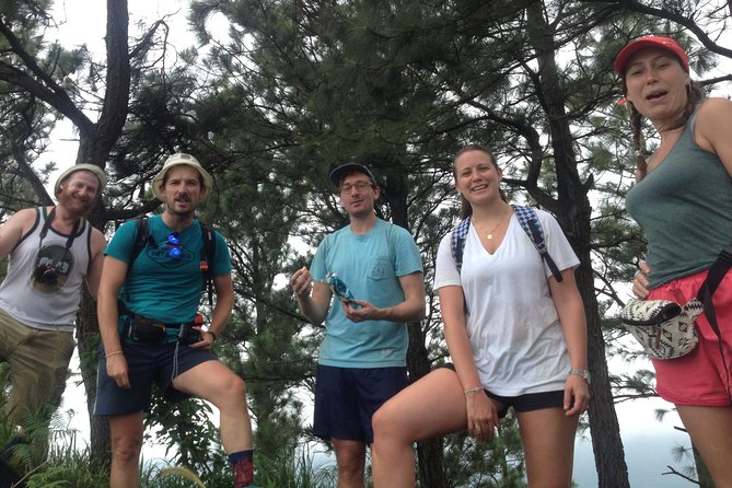 All Inclusive Knuckles Day Track With Accommodation - Tea plantations mark the beginning of the trail