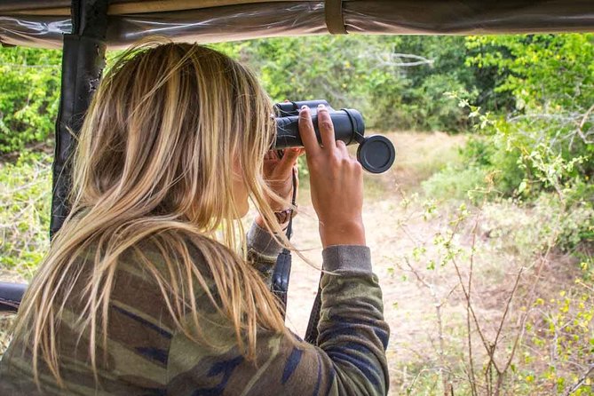 All Inclusive Leopard Nest Treehouse Safari in Yala - What the $200 price really covers