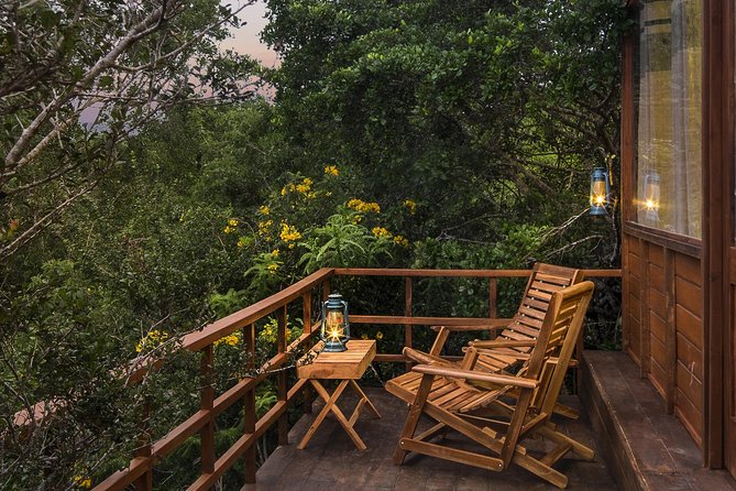 All Inclusive Leopard Nest Treehouse Safari in Yala - The afternoon game drive in Yala National Park
