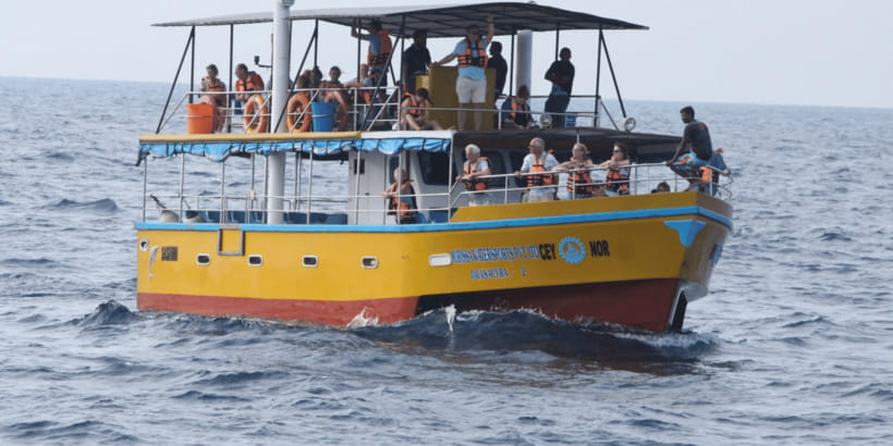 All Inclusive Mirissa Whale & Dolphin Watching + Snorkeling - Key points at a glance