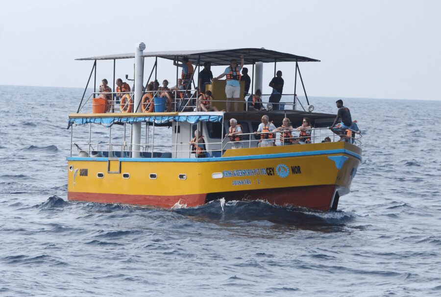 All Inclusive Mirissa Whale & Dolphin Watching + Snorkeling - A local lunch after the boat ride
