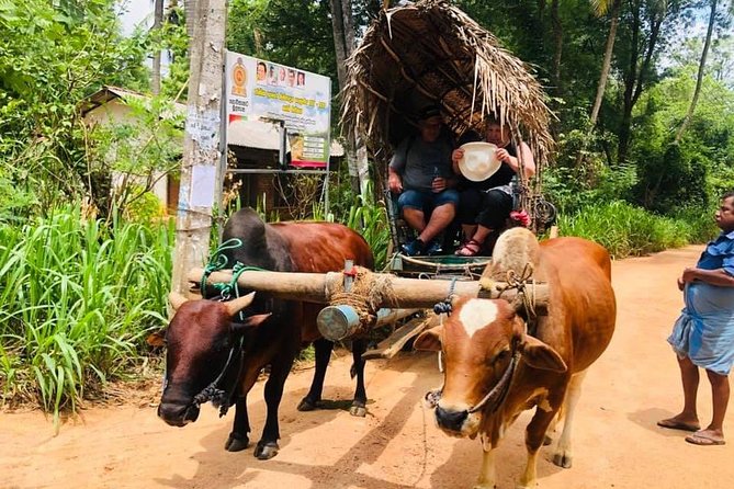 All inclusive Private Day tour Sigiriya, Dambulla & traditional village tour - Learning about Sri Lankan spices at Rawana Garden