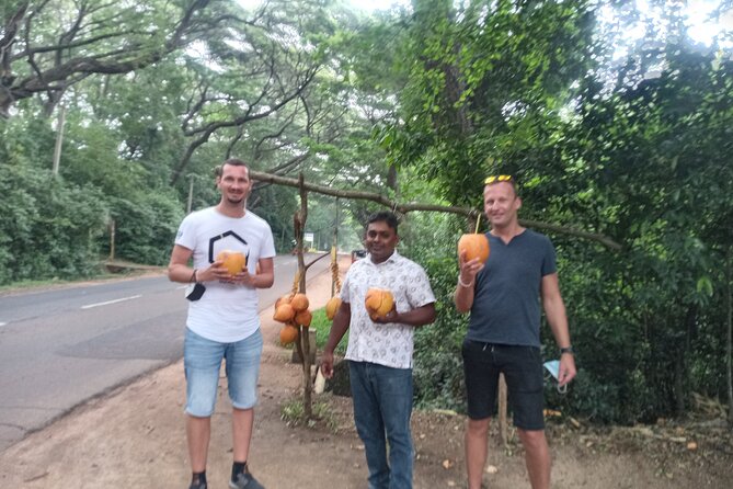 All inclusive Private day trip Sigiriya and Dambulla caves with more - What $70 really buys you