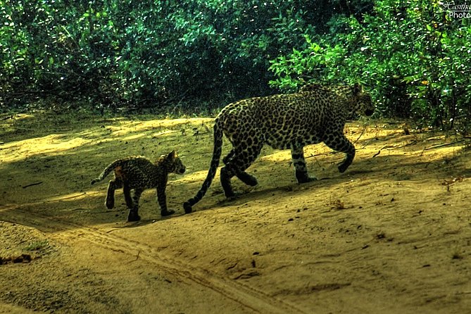 All inclusive Private jeep safari at Yala National park - Sithulpawwa Rock Temple adds a different kind of Sri Lanka