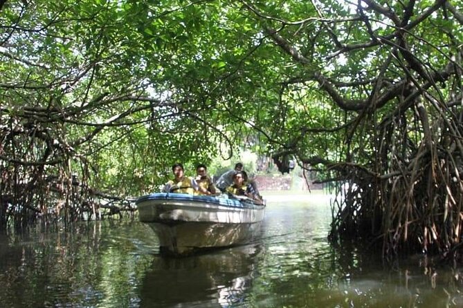 All-Inclusive Private tour in Sri Lankan Island 9 Day HB hotels - From Negombo lagoon to the first night