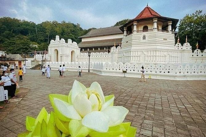 All-Inclusive Private tour in Sri Lankan Island 9 Day HB hotels - Ancient Polonnaruwa and the elephant country of Minneriya
