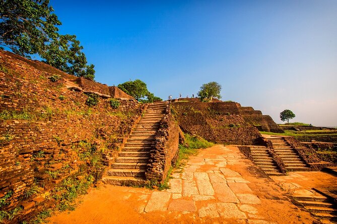 All-inclusive Sigiriya, Dambulla and Wildlife Safari from Colombo - Who will get the most from this long day