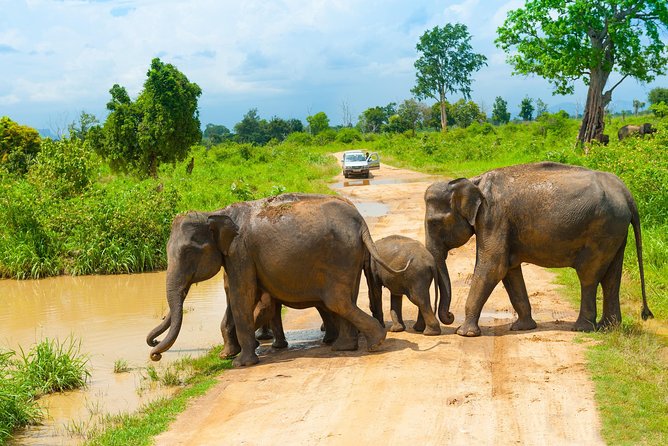 All Inclusive Udawalawa National Park Day Tour From Negombo - Planning Around Weather And Cancellation