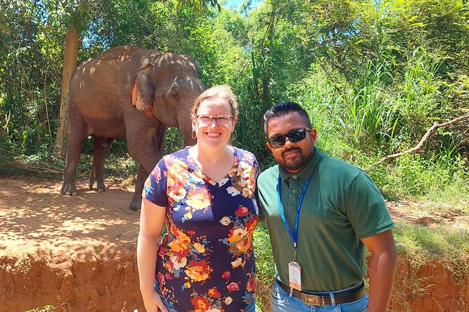 All Inclusive Udawalawe National Park Safari Day Tour from Colombo and Negombo - How private guiding changes the day