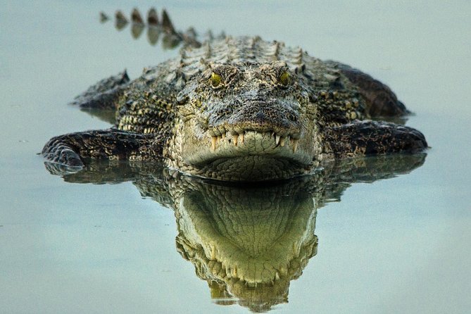All Inclusive Wilpattu National Park Day Tour From Anuradhapura - What the $156 price really covers