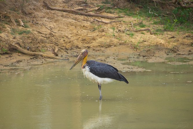 All Inclusive Yala National Park Jeep Safari from Colombo - Entering Yala through Palatupana