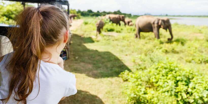 All inclussive Udawalawa National Park Safari From Colombo - Is a Colombo day trip to Udawalawe worth the road?