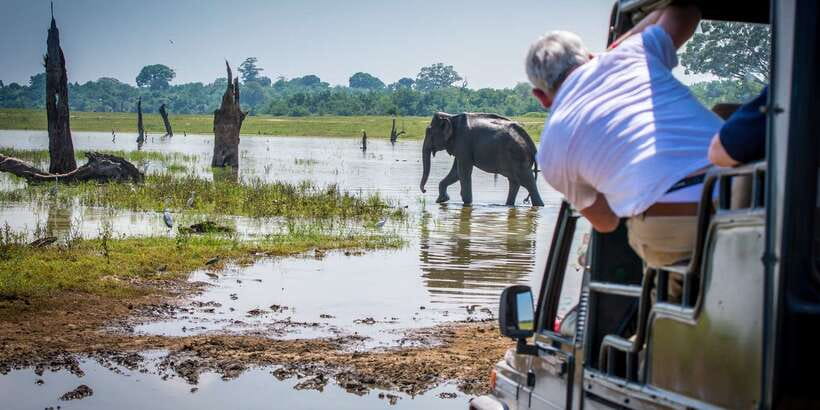 All inclussive Udawalawa National Park Safari From Colombo - What the $225 price really buys you