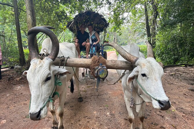 All of Sri Lanka within 10 Days - What this $800 Sri Lanka tour really covers