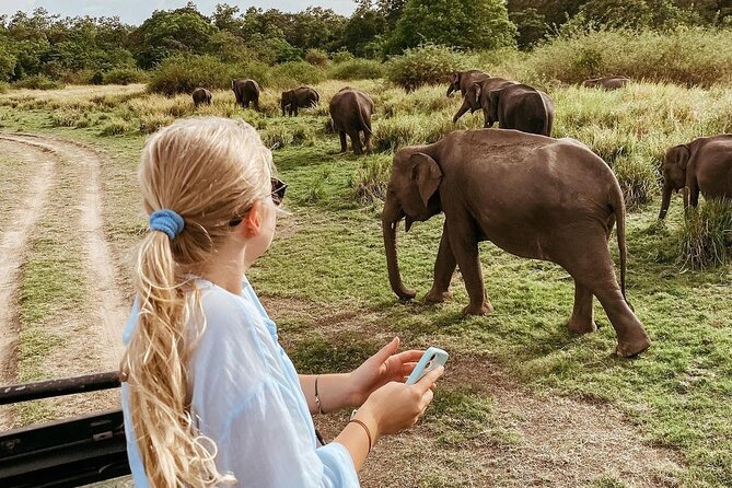 All of Sri Lanka within 10 Days - Tea country brings gardens, factories, and cool air