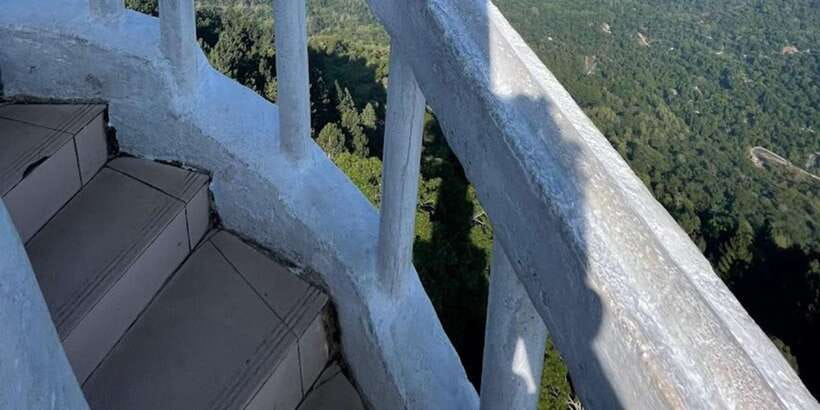 Ambuluwawa Tower & Pinnawala & Kandy Day Tour From Colombo - Tea country at the factory and estate