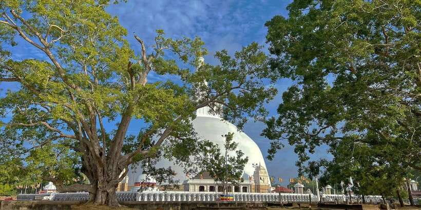 Anuradhapura Private Ancient City Day Tour - Key points at a glance