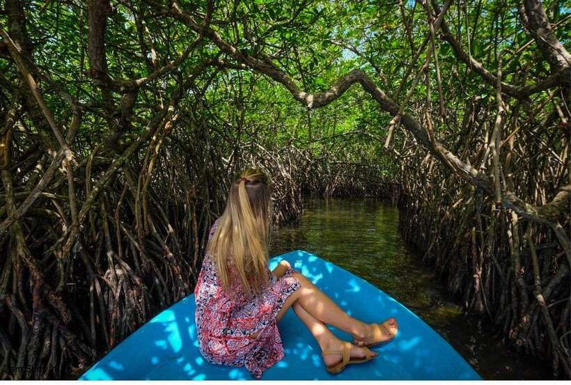 Bentota: All Inclusive Galle Dutch Fort & Madu River Safari - How the guiding affects the day