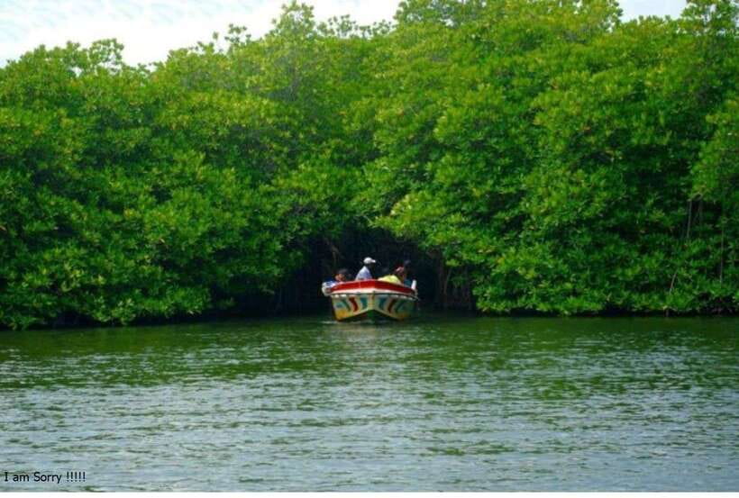 Bentota: All Inclusive Galle Dutch Fort & Madu River Safari - The best fit for this eight-hour outing
