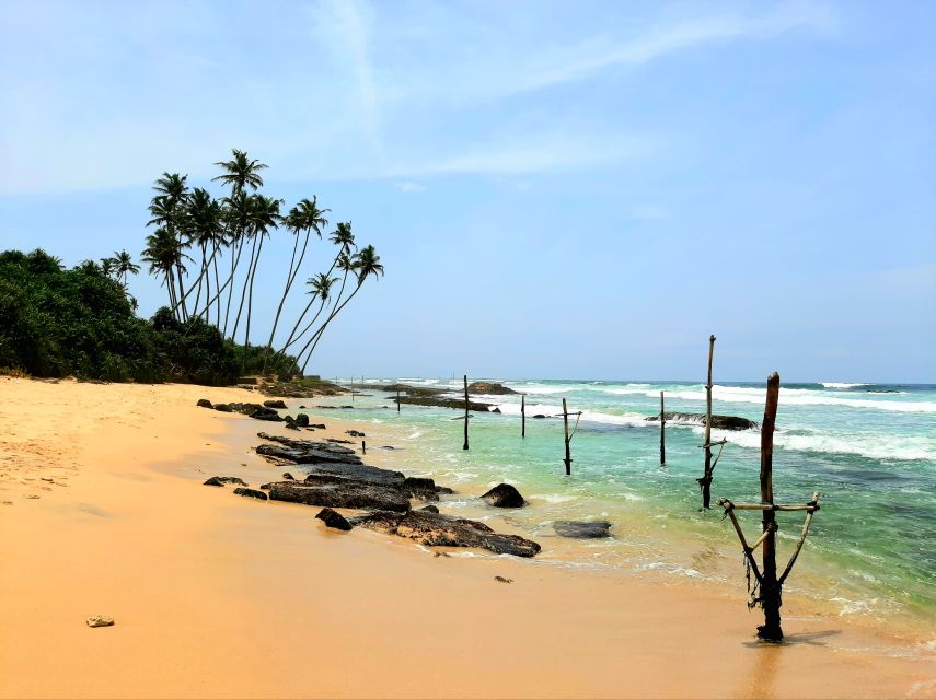 Bentota beach, River Mangroves lagoon, Wildlife Tour - What the $30 price covers
