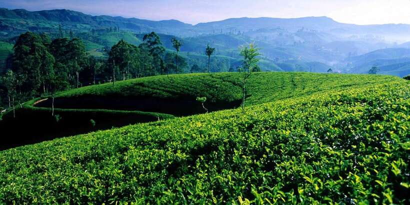 Bentota/Kalutara/Hikkaduwa/Galle/Mirissa: Day Trip to Ella - Ravana Falls gives you an easy scenic pause