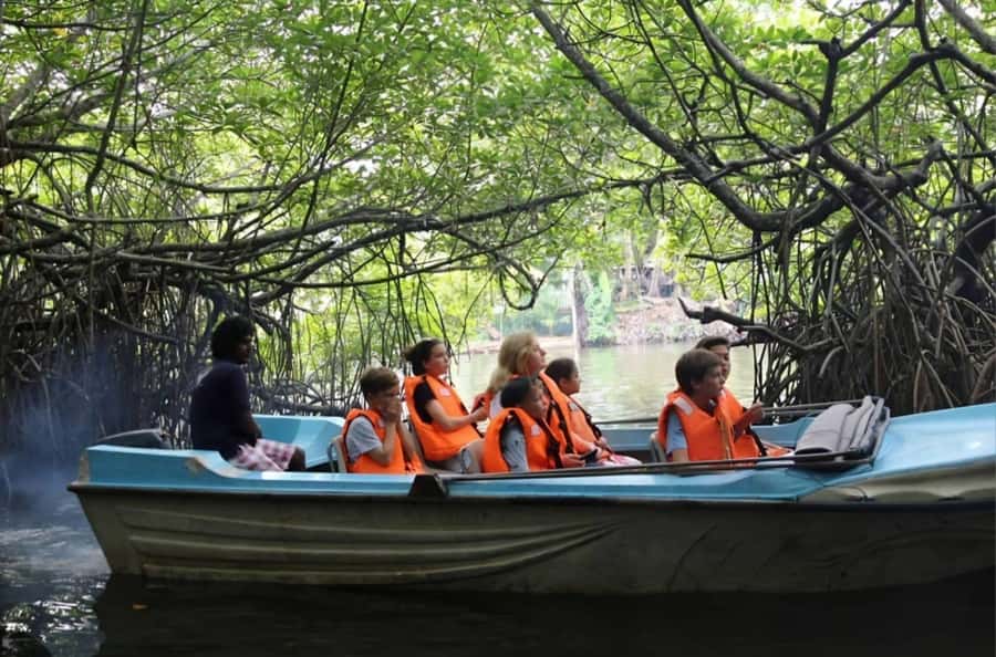 Bentota River Safari -Ahungalla/Bentota/Aluthgama/Kosgoda - The two-hour boat ride through mangroves