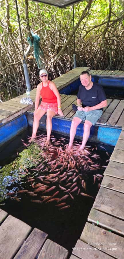 Bentota River Safari -Ahungalla/Bentota/Aluthgama/Kosgoda - Should you book the Bentota River Safari?