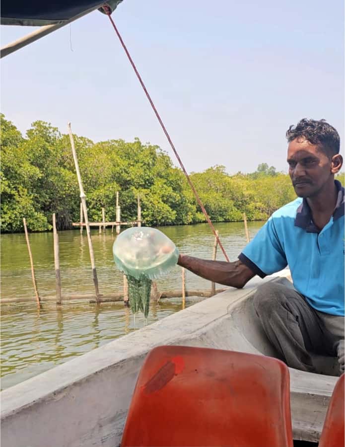 Bentota River Safari -Ahungalla/Bentota/Aluthgama/Kosgoda - Pickup from Bentota, Aluthgama, and nearby resorts