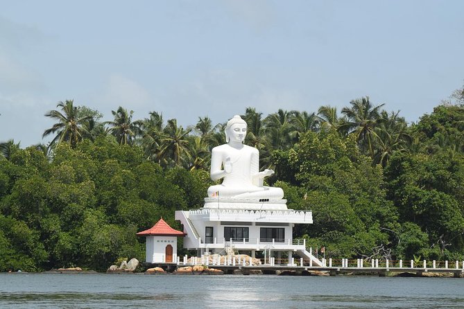 Bentota River Safari By BTM (Mangrove & Wildlife Encounter) - Crocodiles, monkeys, and reptiles