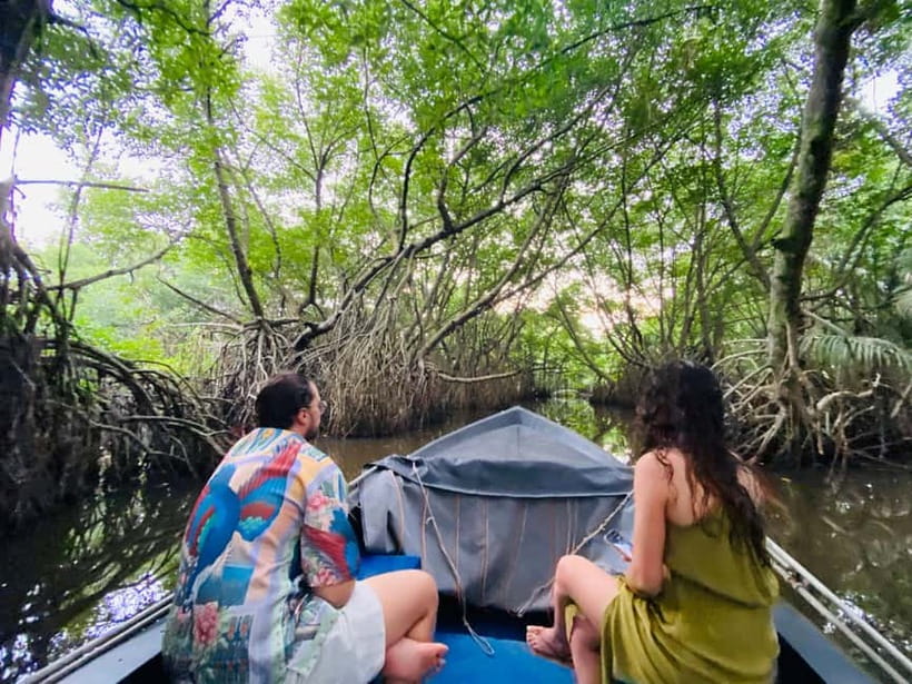 Bentota River Safari: Discover Wildlife & Mangroves by Boat - A relaxed pace, with a few pleasant extras