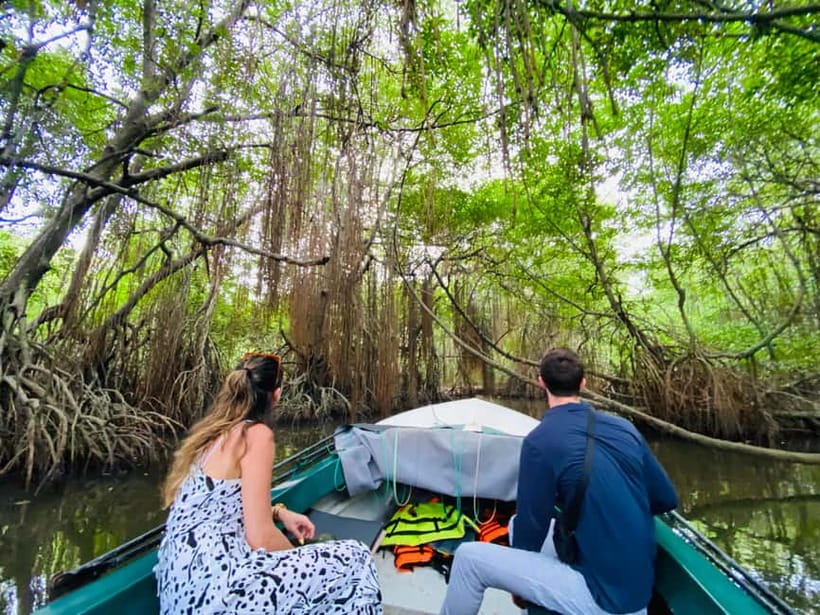 Bentota River Safari: Discover Wildlife & Mangroves by Boat - Who will enjoy the Bentota River Safari?