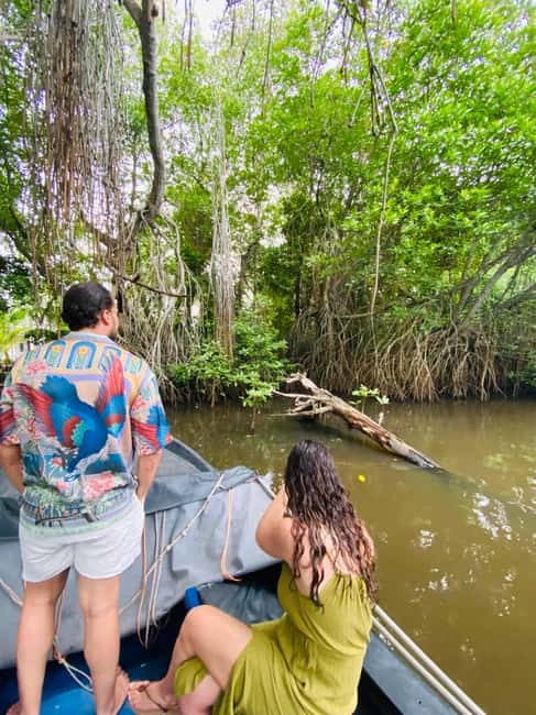 Bentota River Safari: Discover Wildlife & Mangroves by Boat - Should you book it?