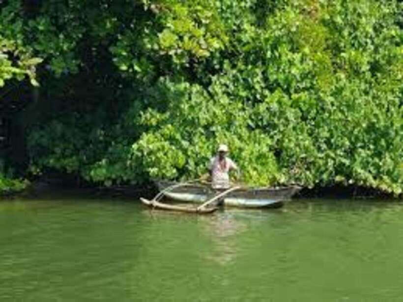 Bentota: River Safari with Hotel Pickup and Drop-Off - A quiet start near Bentota Bridge